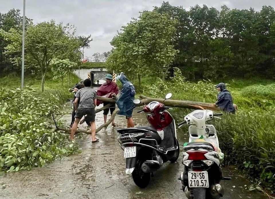 Tại huyện Sóc Sơn, bão số 3 cũng gây ảnh hưởng lớn với hàng trăm cây xanh bị gãy, đổ và nhiều công trình dân sinh lợp mái tôn bị tốc mái.