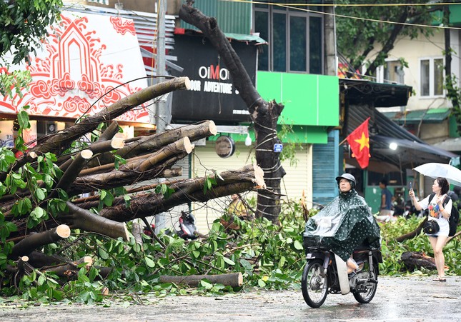 Hà Nội: Căng mình dọn dẹp sau bão ảnh 10