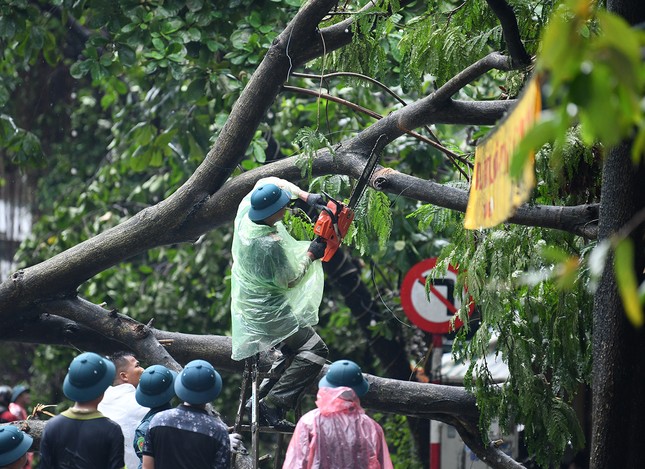 Hà Nội: Căng mình dọn dẹp sau bão ảnh 11