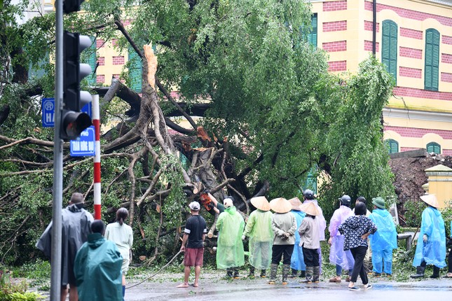 Hà Nội: Căng mình dọn dẹp sau bão ảnh 12