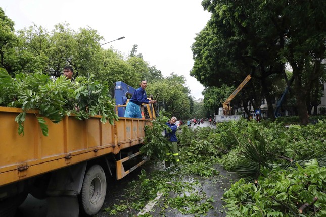 Hà Nội: Căng mình dọn dẹp sau bão ảnh 15