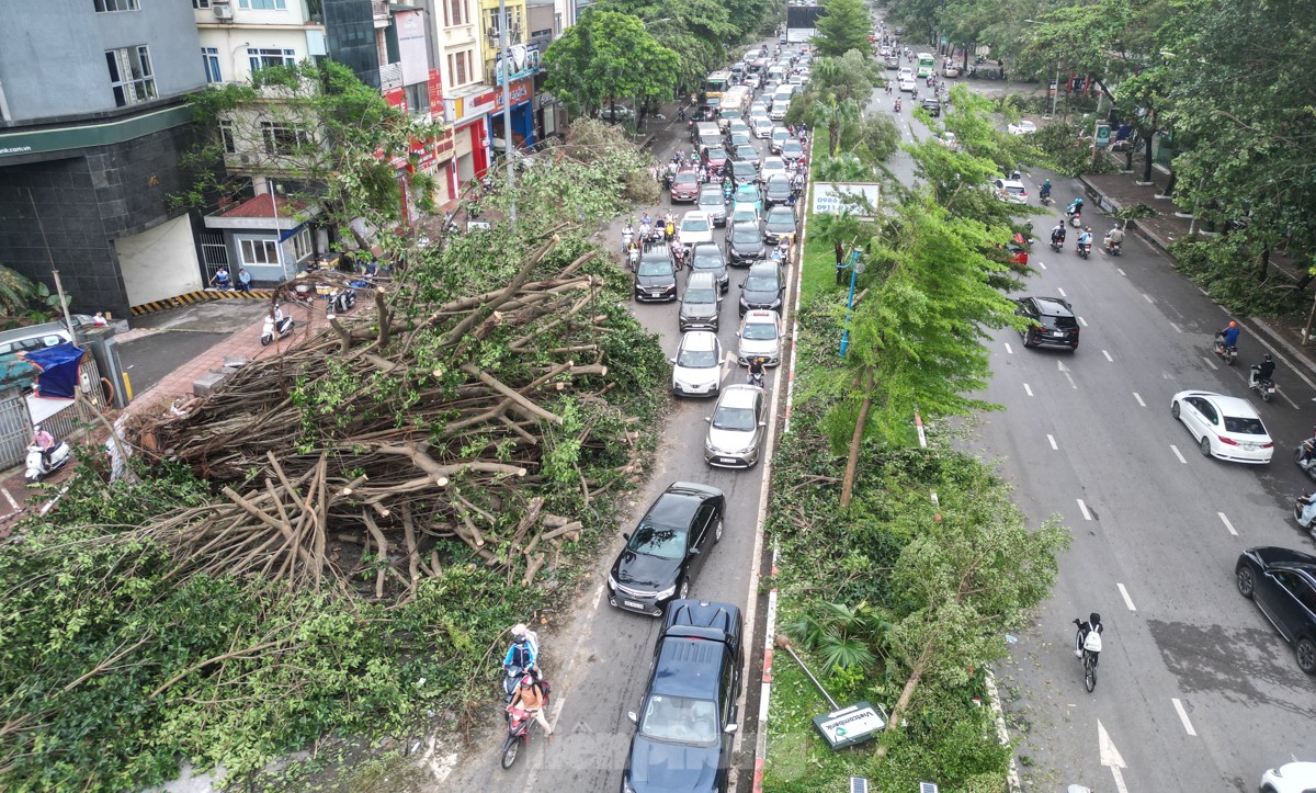 Đường phố Hà Nội vẫn ngổn ngang cây đổ, người dân 'vượt ải' ùn tắc đến công sở ảnh 3