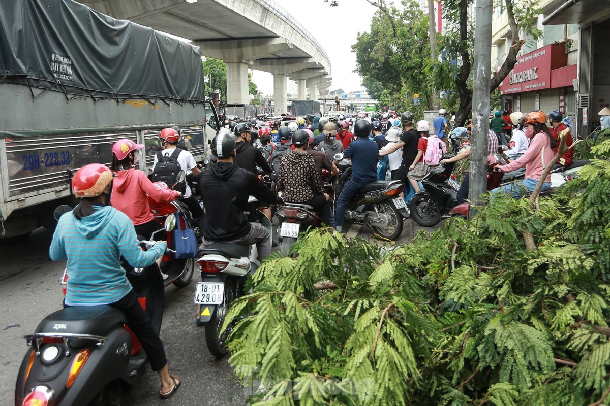 Đường phố Hà Nội vẫn ngổn ngang cây đổ, người dân 'vượt ải' ùn tắc đến công sở ảnh 10