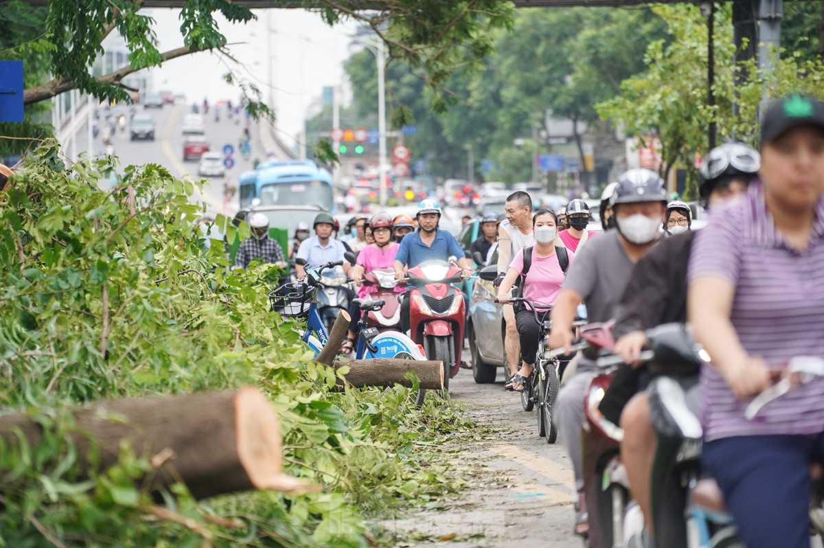 Đường phố Hà Nội vẫn ngổn ngang cây đổ, người dân 'vượt ải' ùn tắc đến công sở ảnh 14