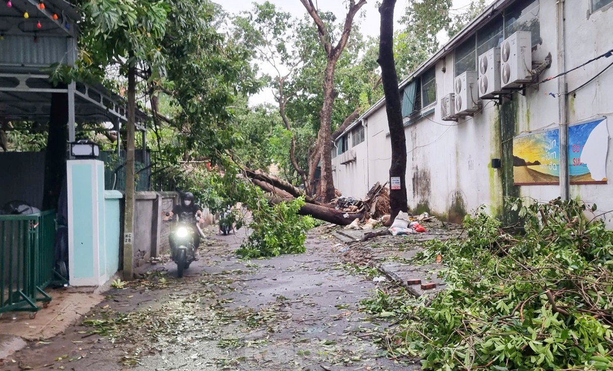 Đường phố Hà Nội vẫn ngổn ngang cây đổ, người dân 'vượt ải' ùn tắc đến công sở ảnh 18