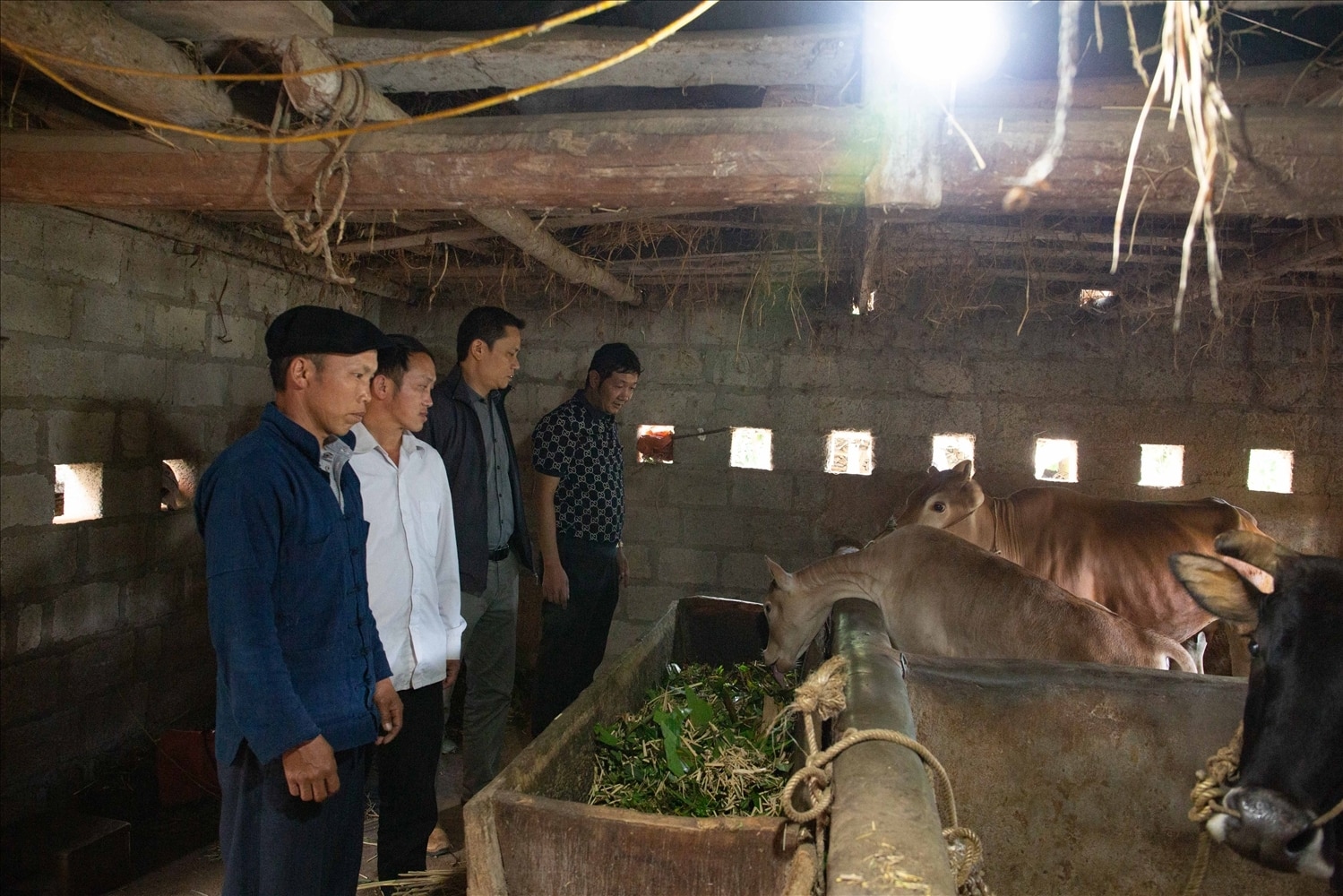 Anh Giàng Chứ Sửu còn là một trong những cá nhân tiêu biểu tại thôn Má Pắng trong phát triển kinh tế chăn nuôi