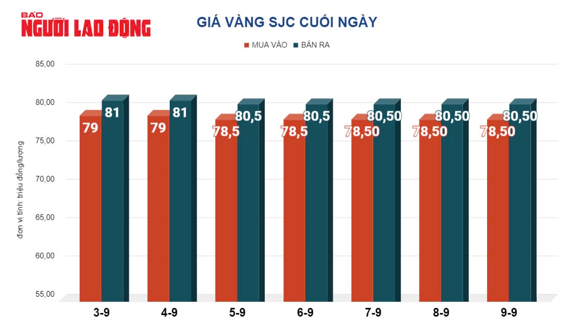 Giá vàng hôm nay, 10-9: Đà tăng bị khựng lại- Ảnh 2.