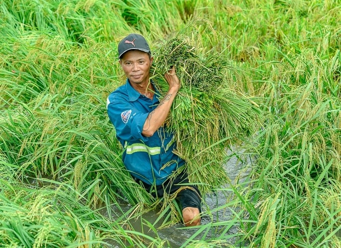 Nông dân - Ảnh 5.