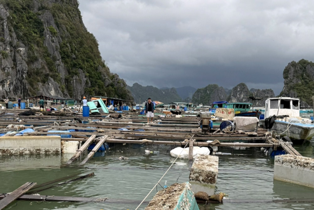 Quảng Ninh: Tháo gỡ khó khăn cho khách hàng vay vốn ngân hàng bị thiệt hại do bão- Ảnh 2.