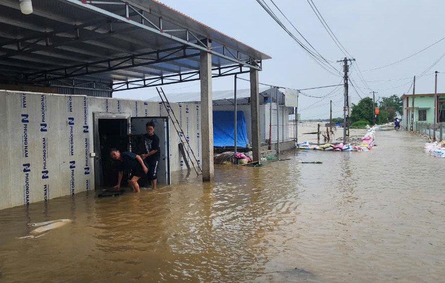 Cận cảnh khẩn cấp hộ đê, sơ tán dân tại các vùng báo động lũ cấp 3 ở Nam Định- Ảnh 4.