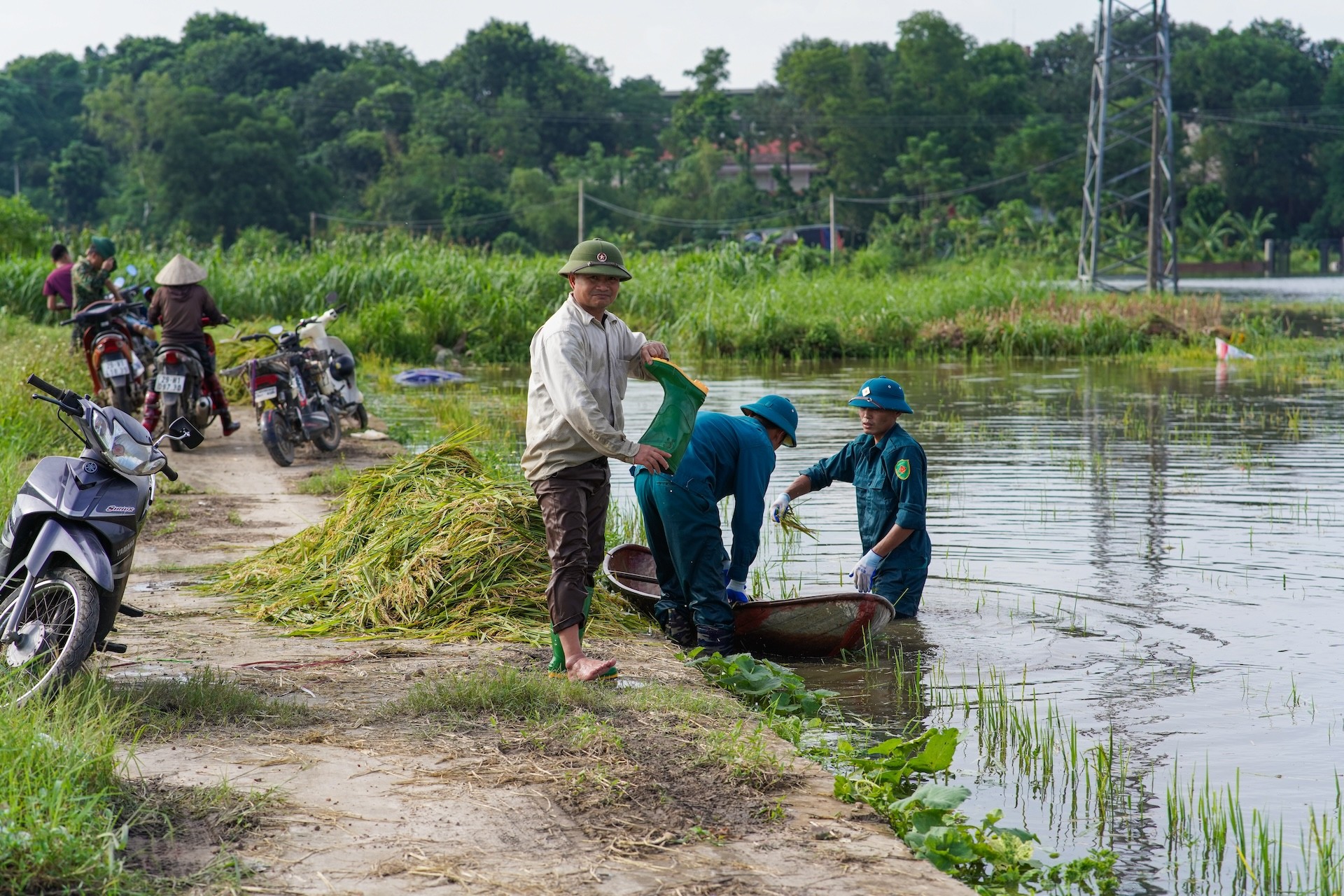 Người dân ngoại thành Hà Nội tất bật ra đồng chạy đua với lũ vớt vát tài sản ảnh 3