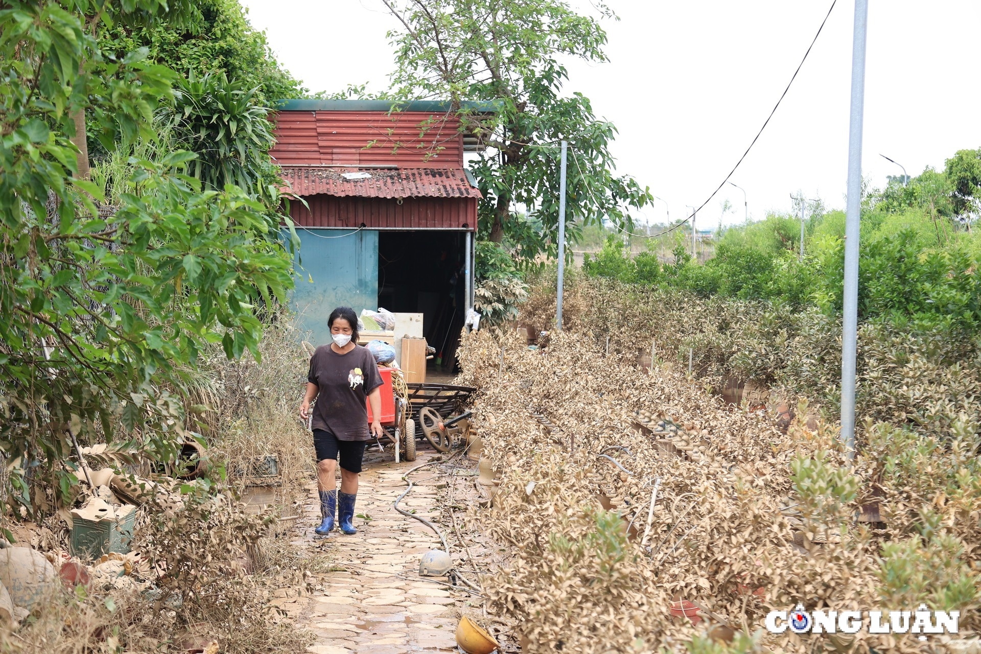 nguoi dan trong quat tu lien tat bat khoi phuc lai nhung thiet hai sau bao lu hinh 8