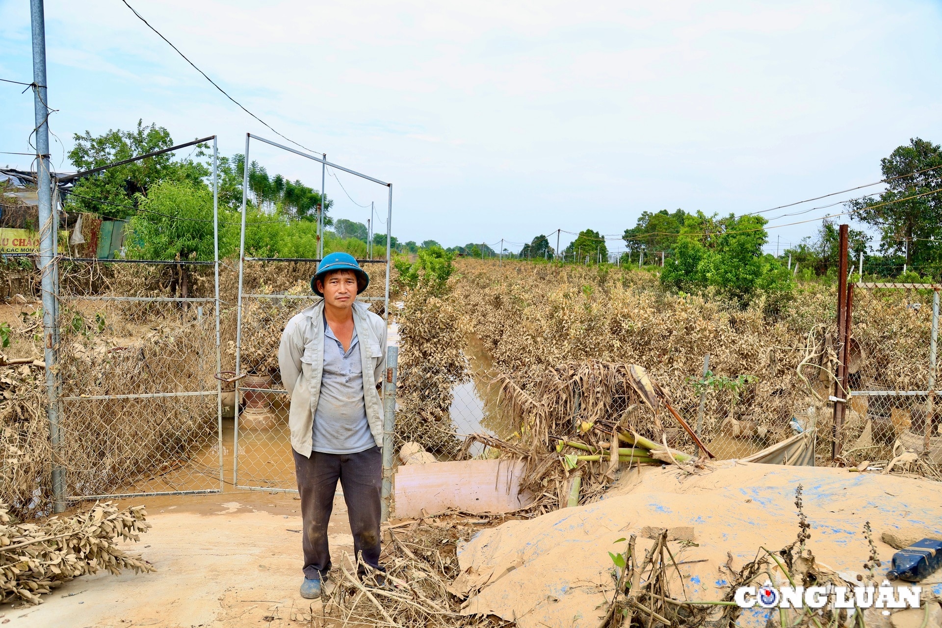 nguoi dan trong quat tu lien tat bat khoi phuc lai nhung thiet hai sau bao lu hinh 11