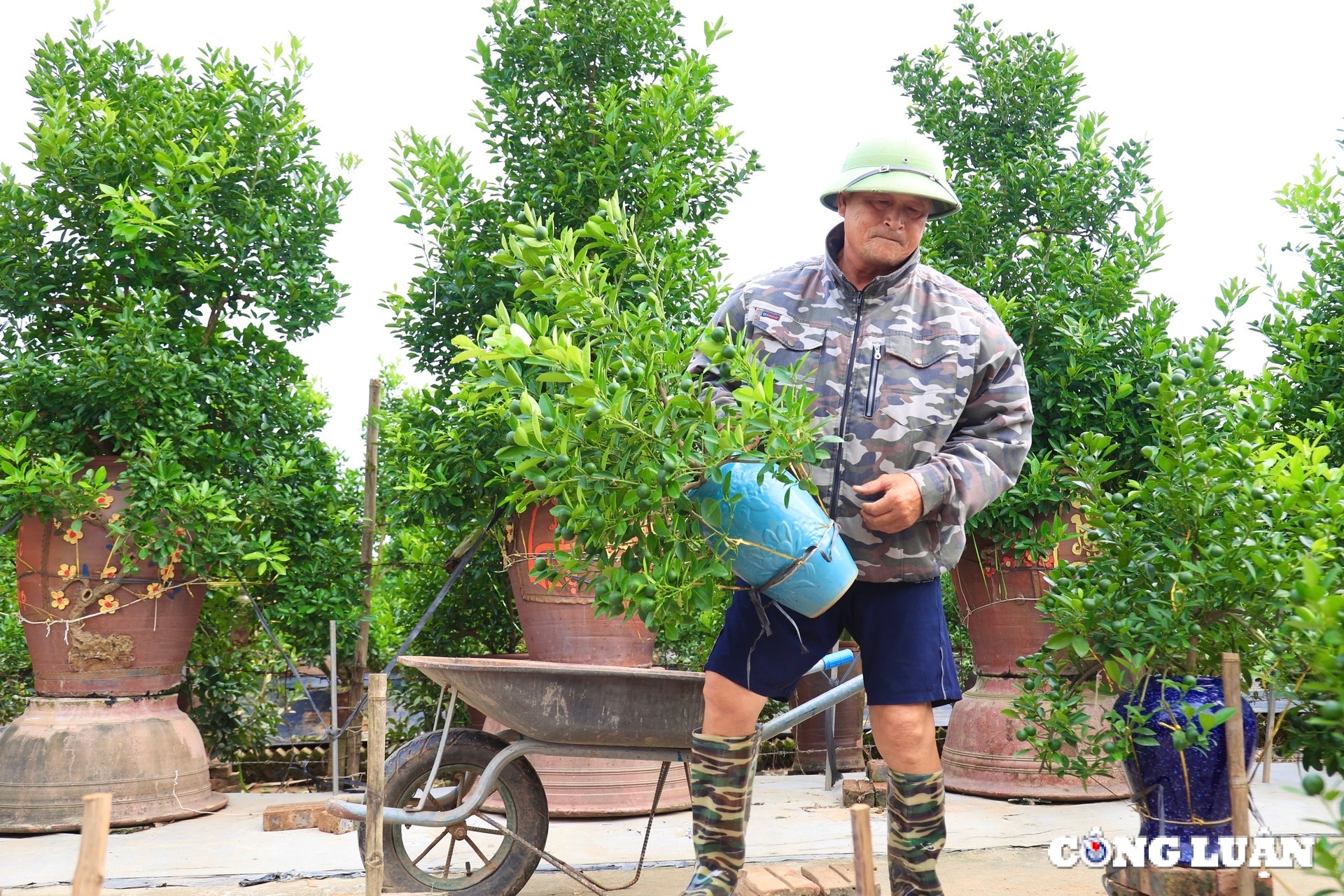 nguoi dan trong quat tu lien tat bat khoi phuc lai nhung thiet hai sau bao lu hinh 10