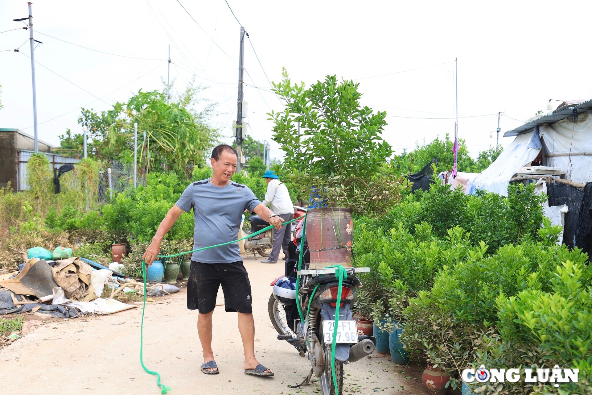 nguoi dan trong quat tu lien tat bat khoi phuc lai nhung thiet hai sau bao lu hinh 14