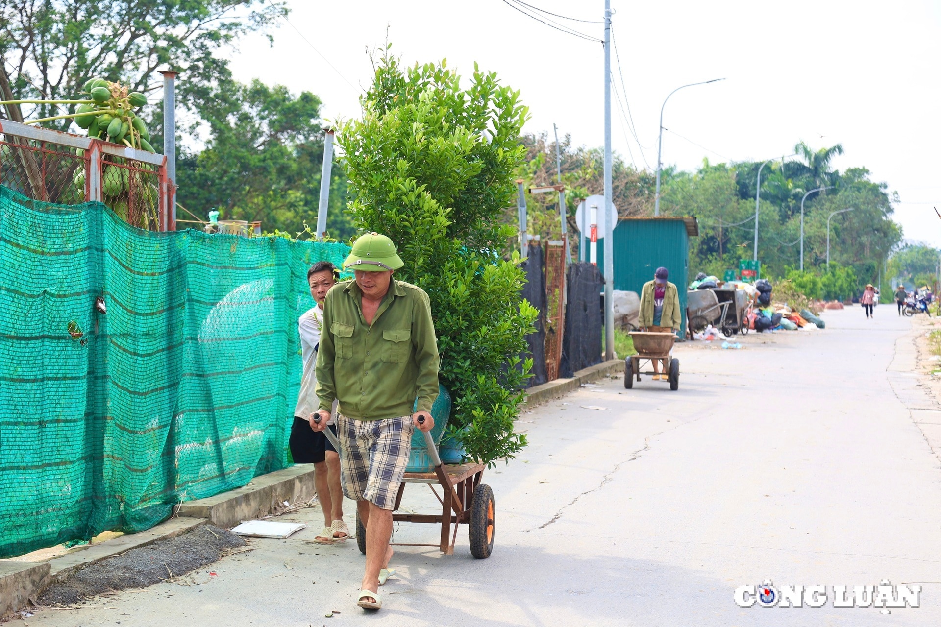 nguoi dan trong quat tu lien tat bat khoi phuc lai nhung thiet hai sau bao lu hinh 15