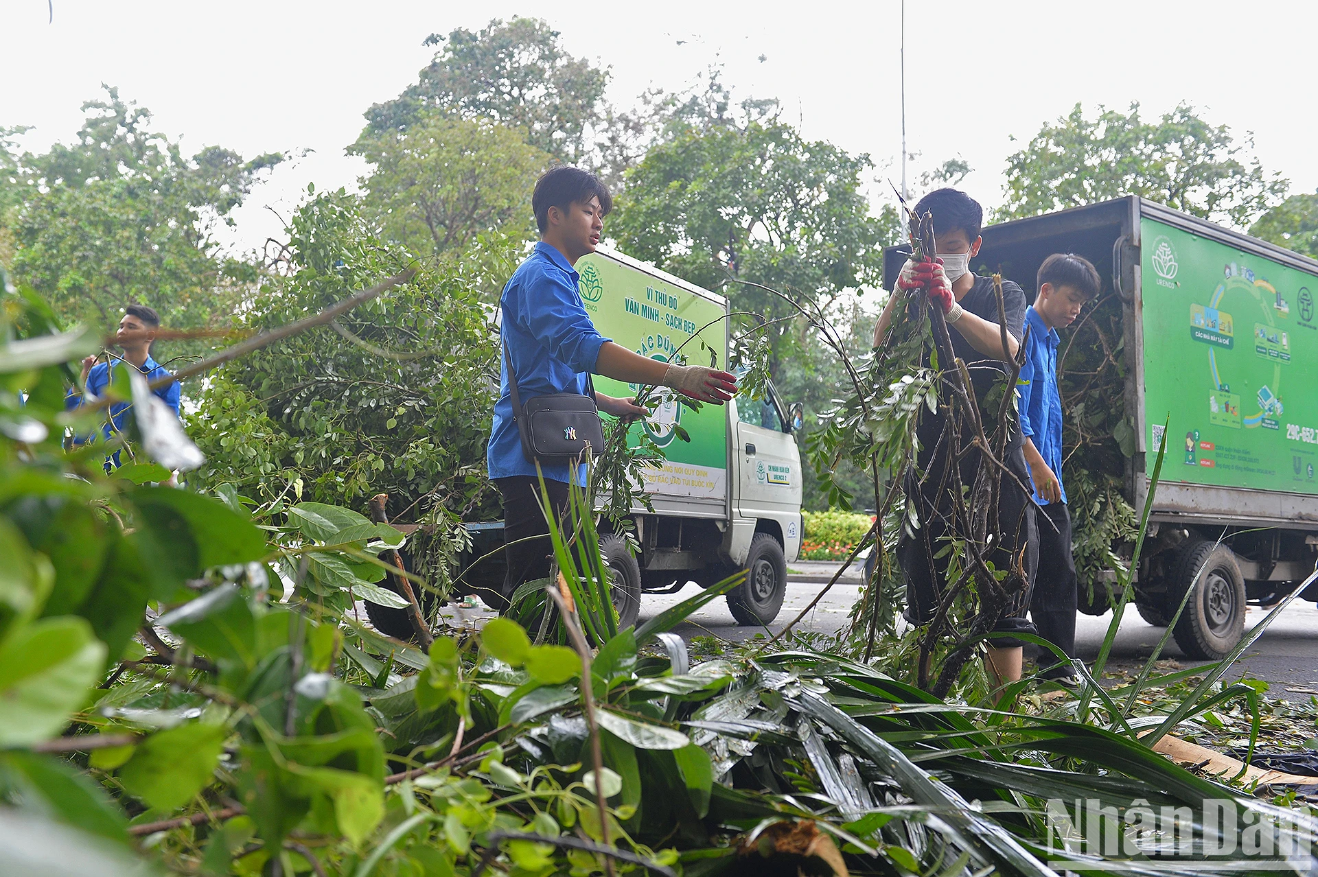 "Áo xanh" tình nguyện khắc phục hậu quả sau bão tại Thủ đô ảnh 3