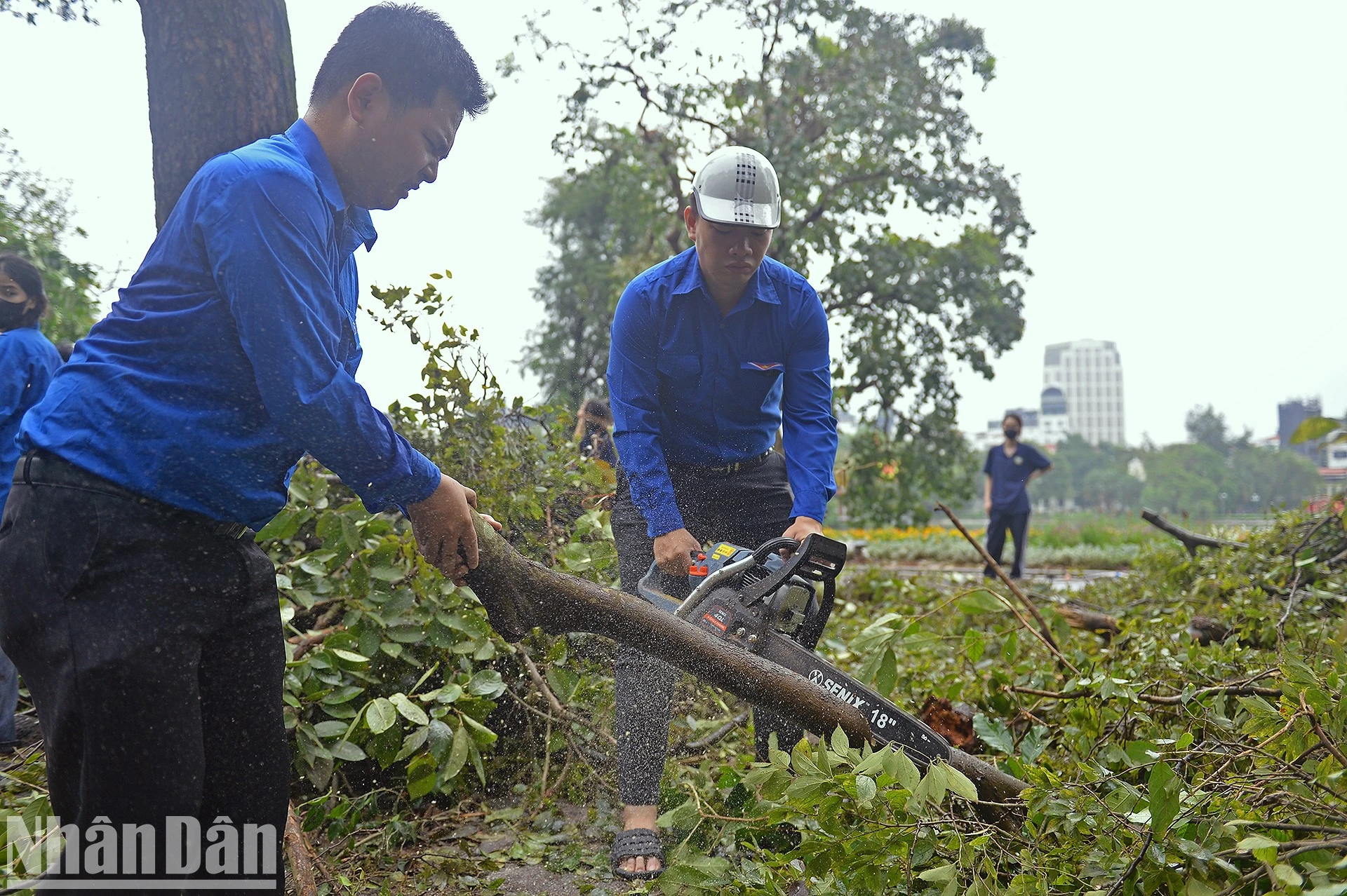 "Áo xanh" tình nguyện khắc phục hậu quả sau bão tại Thủ đô ảnh 8