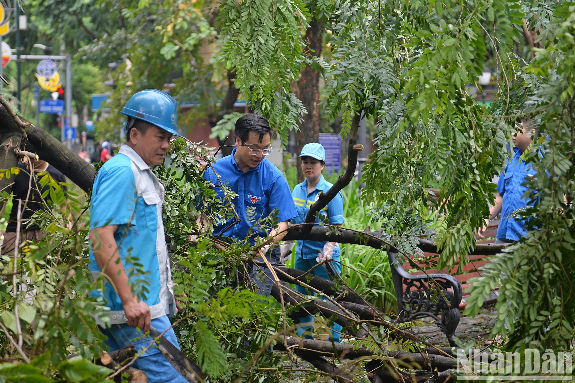 "Áo xanh" tình nguyện khắc phục hậu quả sau bão tại Thủ đô ảnh 13