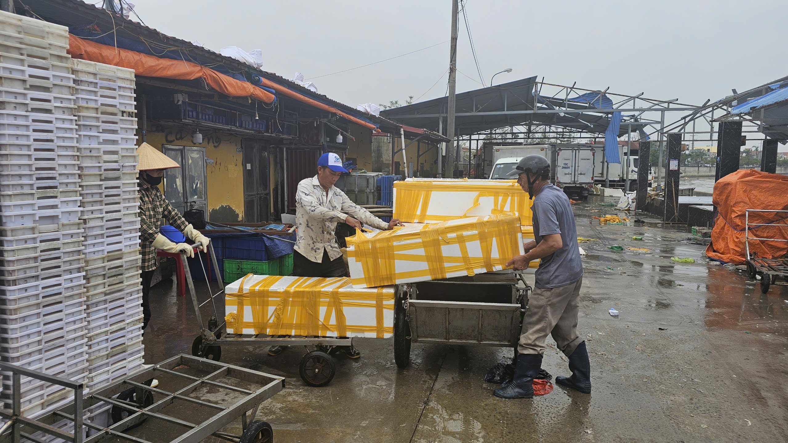 Tàu cá Hải Phòng vươn khơi trở lại, giá hải sản tươi sống tăng gấp đôi- Ảnh 3.