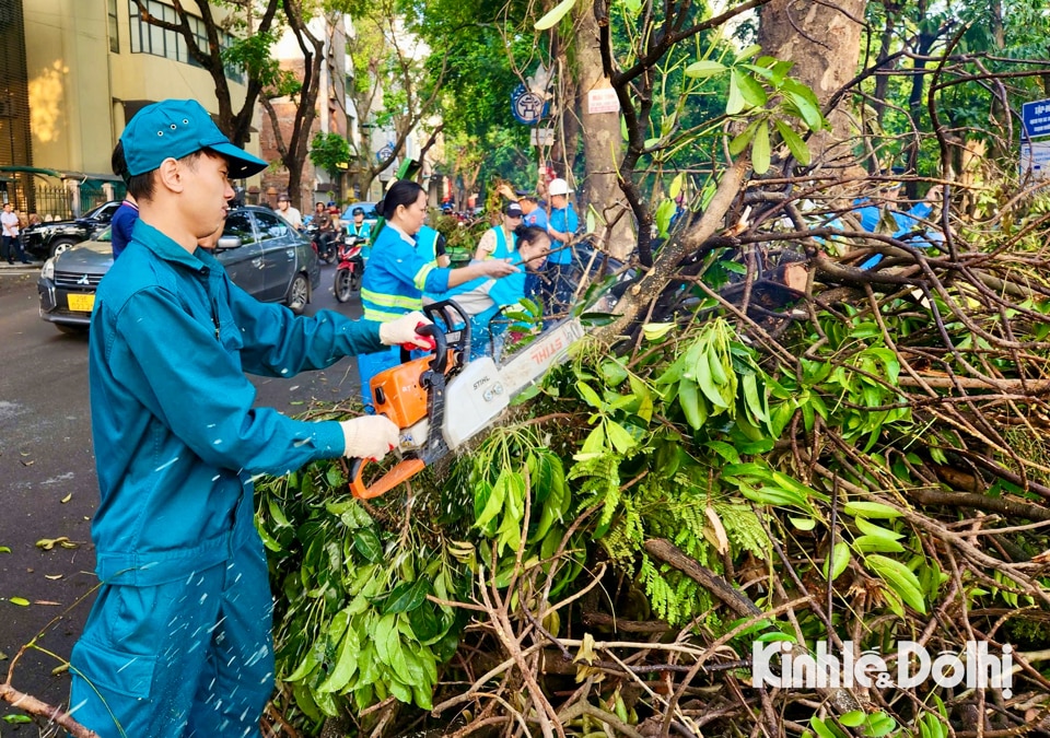 Việc dọn dẹp vệ sinh môi trường là việc cấp thiết nhằm sớm đưa cuộc sống trở lại bình thường, giữ gìn môi trường sống trong lành.