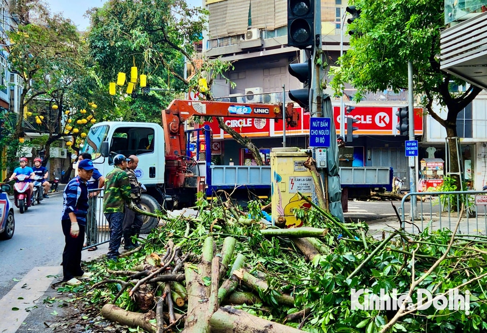 Người dân thu dọn cây đổ tại phố Hàng Mã (quận Hoàn Kiếm, TP Hà Nội).