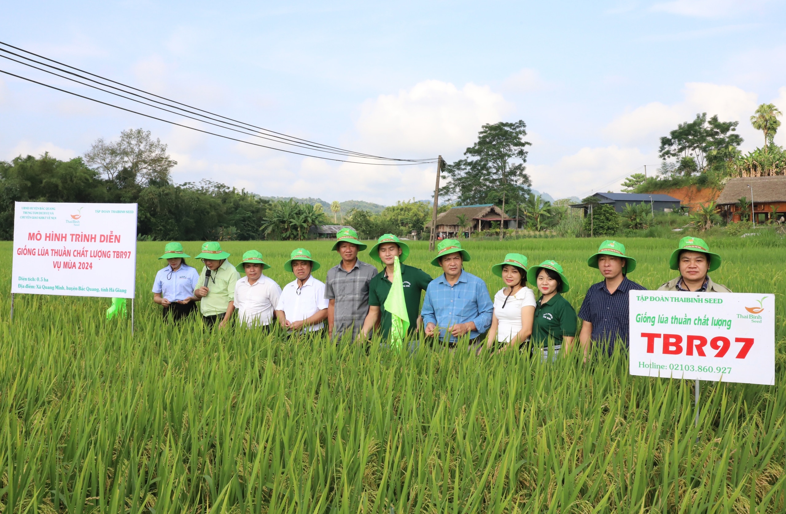 Trồng thử nghiệm giống lúa thuần TBR97 cho năng suất 80 tạ/1ha, nông dân ở một xã ở Hà Giang vui mừng đón nhận - Ảnh 2.