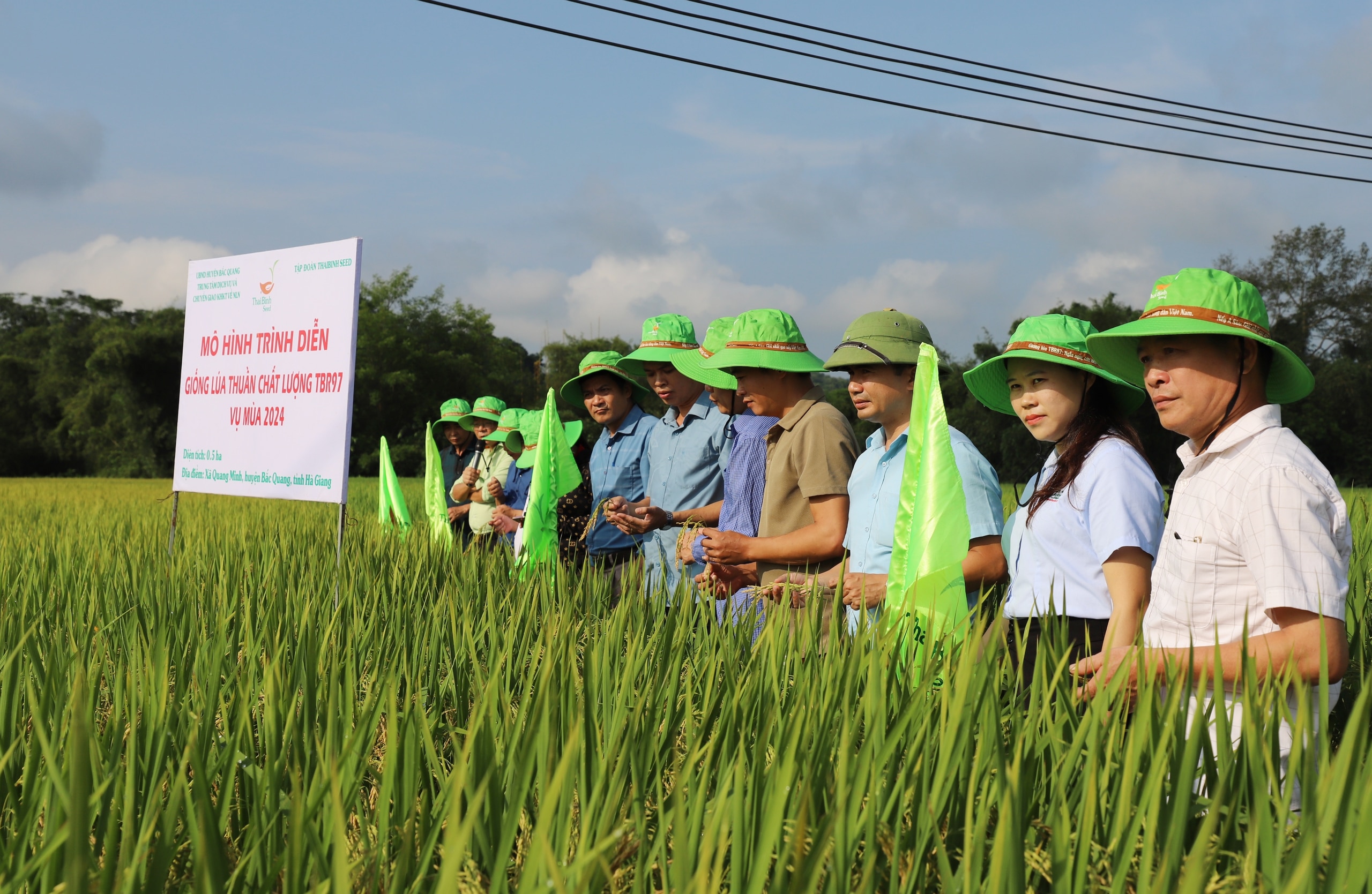 Trồng thử nghiệm giống lúa thuần TBR97 cho năng suất 80 tạ/1ha, nông dân ở một xã ở Hà Giang vui mừng đón nhận - Ảnh 4.