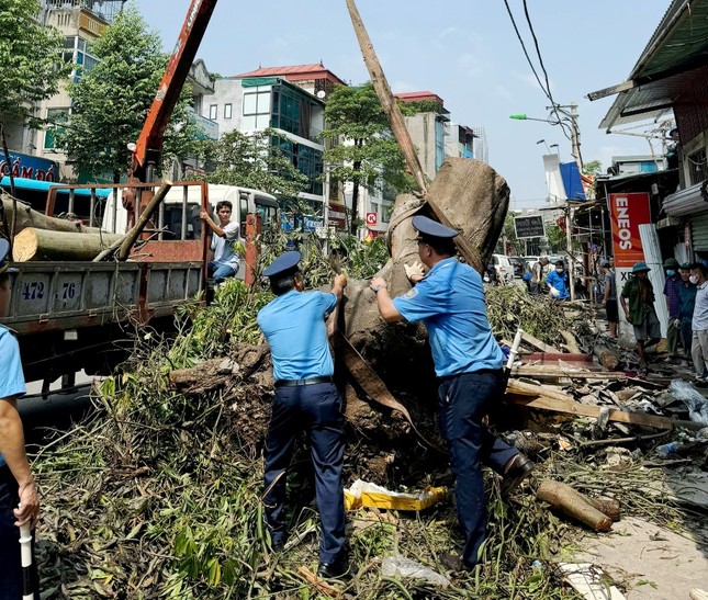 Hơn 300 Thanh tra phân luồng, đảm bảo trật tự chiến dịch thu dọn cây xanh đổ ảnh 5