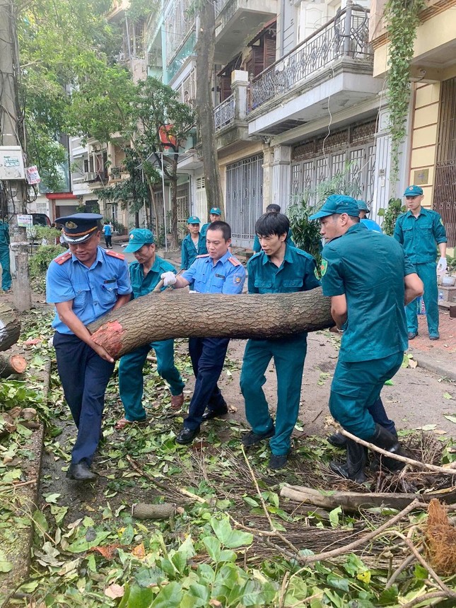 Hơn 300 Thanh tra phân luồng, đảm bảo trật tự chiến dịch thu dọn cây xanh đổ ảnh 9