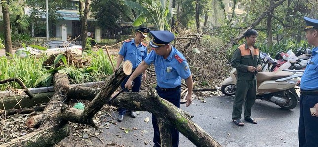 Hơn 300 Thanh tra phân luồng, đảm bảo trật tự chiến dịch thu dọn cây xanh đổ ảnh 8