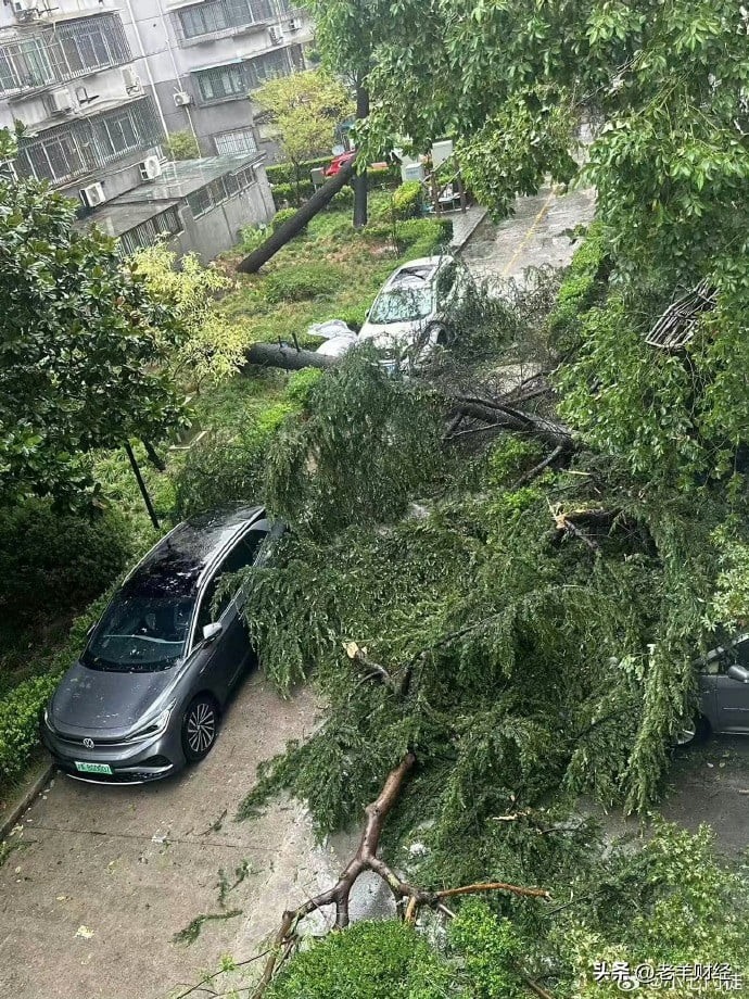 Bão Bebinca 'càn quét' thành phố Thượng Hải, Trung Quốc ảnh 4