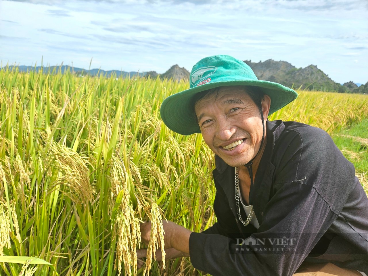 Liên kết 4 nhà, cánh đồng không dấu chân: Bí quyết thành công Tổng Công ty sông Gianh- Ảnh 8.