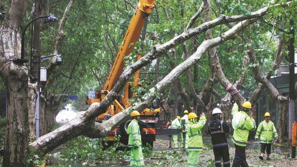 sieu bao bebinca de lai nhieu thiet hai khi quet qua thuong hai hinh 3