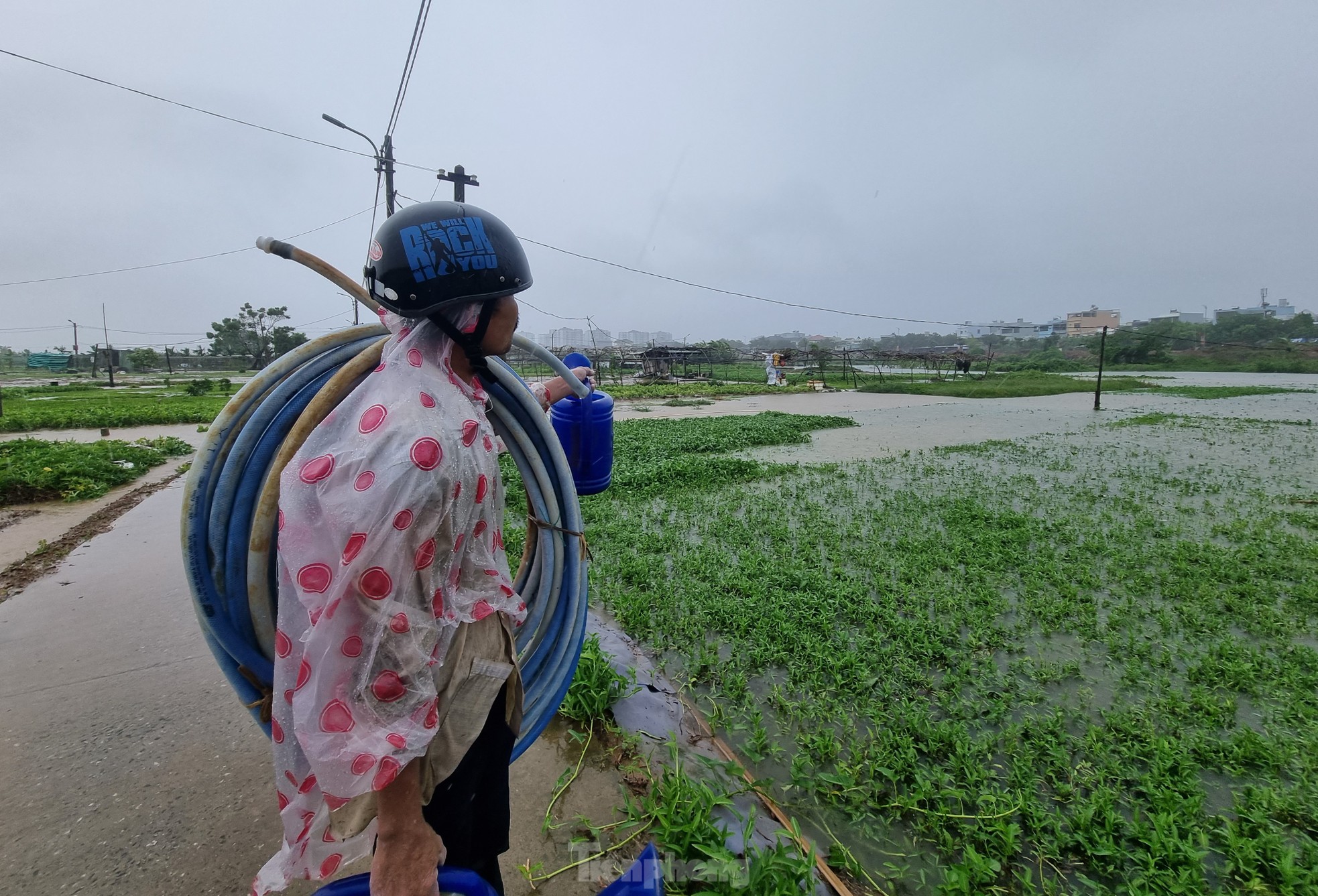 Nước bủa vây vùng rau lớn nhất Đà Nẵng sau mưa kéo dài, 'bà con không kịp trở tay' ảnh 6