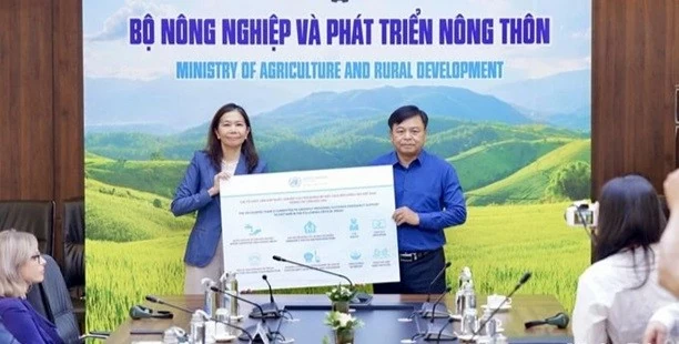 Điều phối viên LHQ tại Việt Nam