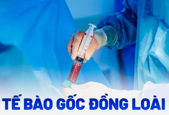 Tế bào gốc không có khả năng chữa bách bệnh- Ảnh 2.