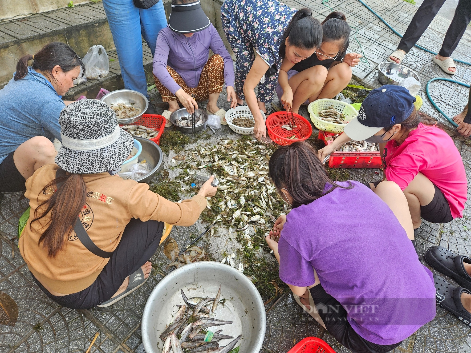 Lũ đổ về, người dân một xã ở Quảng Bình rủ nhau ra sông Nhật Lệ kéo lưới bắt toàn loài cá đặc sản - Ảnh 2.