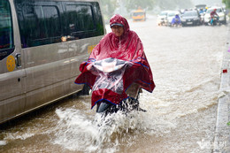 w ngap ha noi 22 4158.jpg