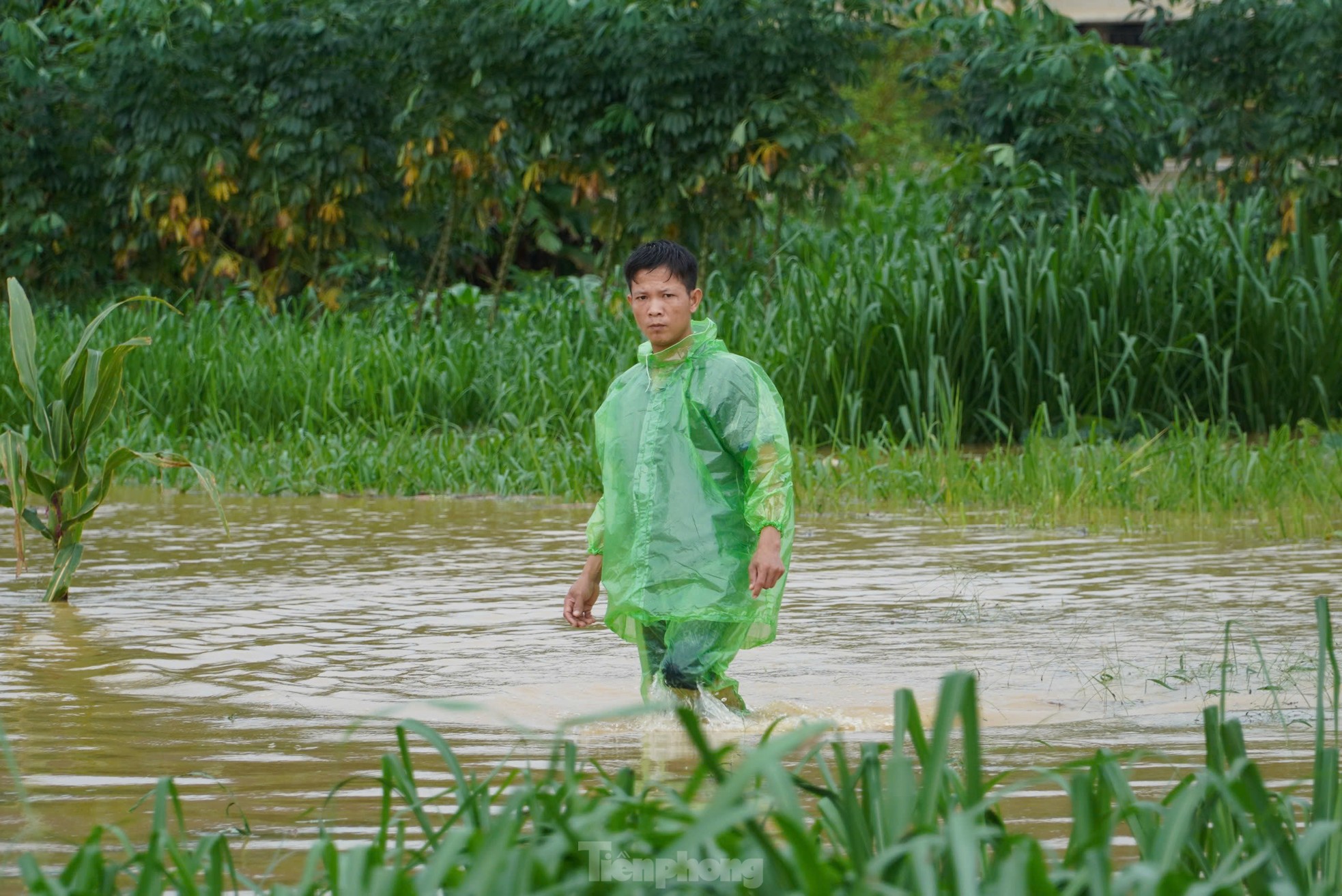 Người dân đổ xô ra ven bờ sông bắt dế mùa lũ ảnh 5