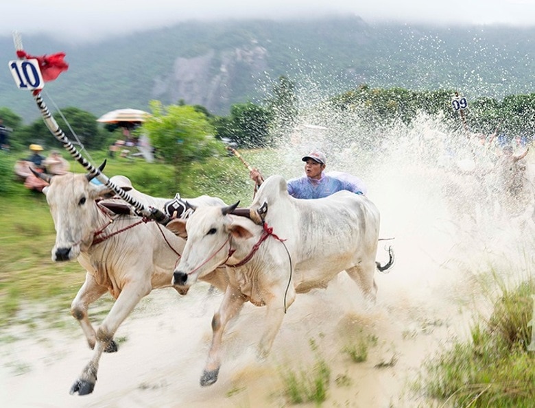 soi noi hoi dua bo bay nui o an giang hinh 2