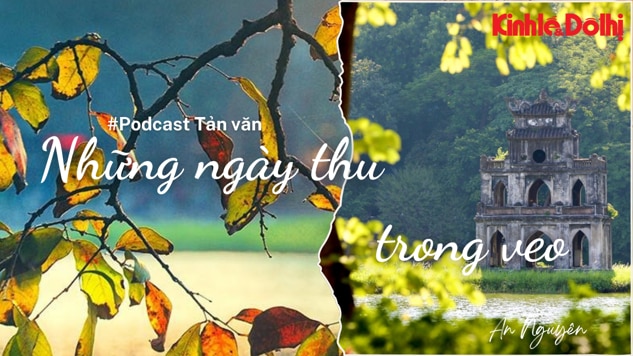 Podcast Tản văn: Những ngày Thu trong veo