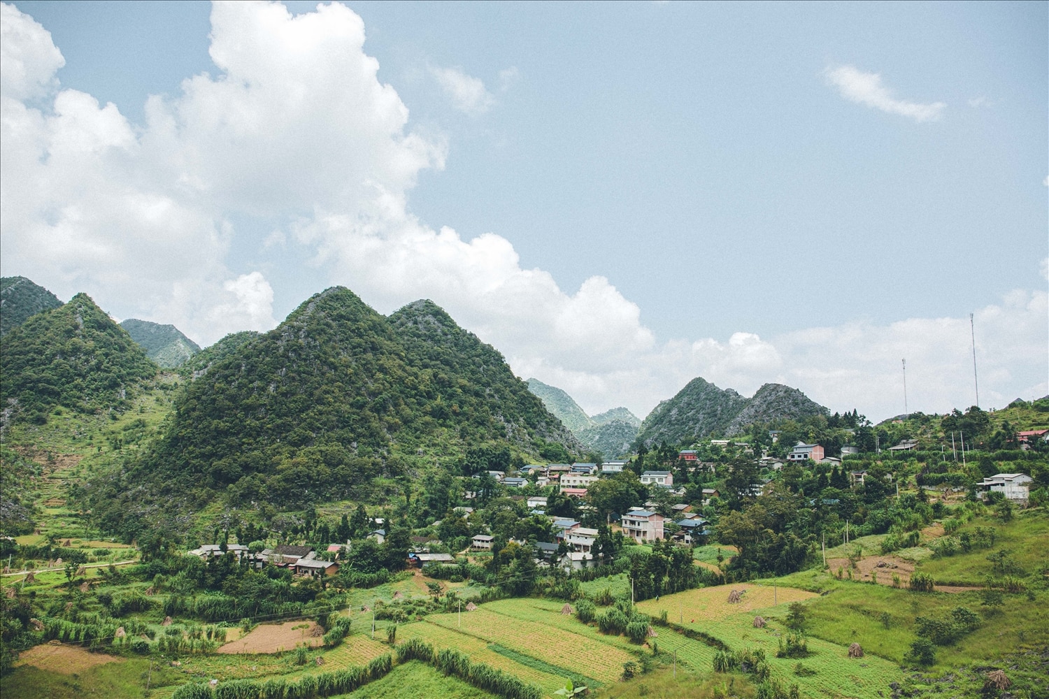 Toàn tỉnh Hà Giang có 686 địa bàn điều tra, trong đó, 140 địa bàn điều tra toàn bộ; 350 địa bàn điều tra 30 hộ và 196 địa bàn điều tra 40 hộ.