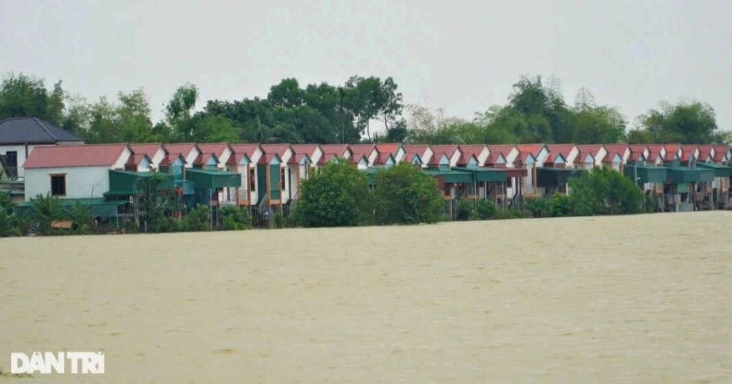 Xóm vạn chài thoát cảnh kéo nhau lên bờ tránh lũ sông Lam