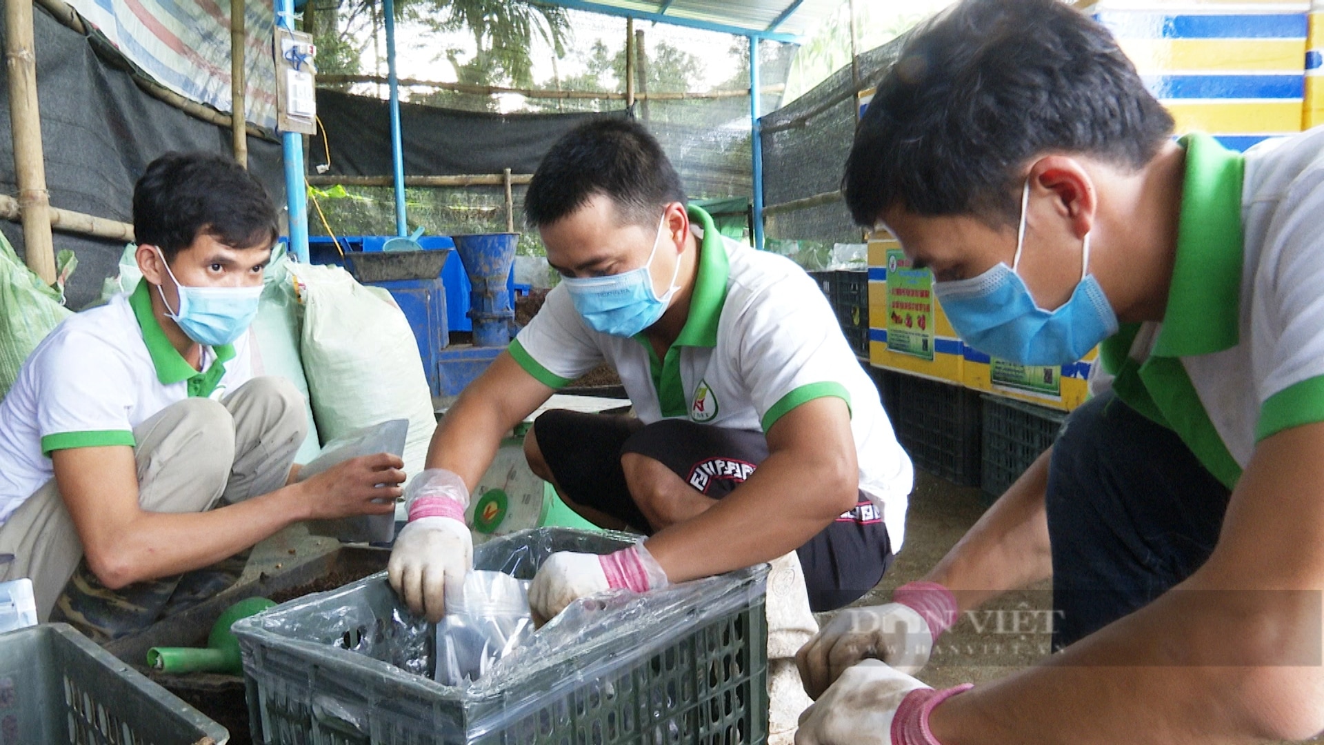 Ở một nơi của Quảng Nam, nông dân 