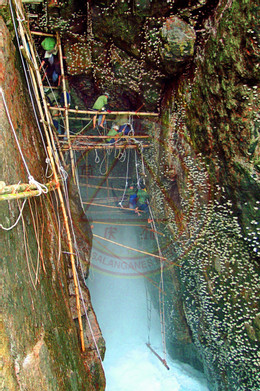 បងប្រុស H2.jpg