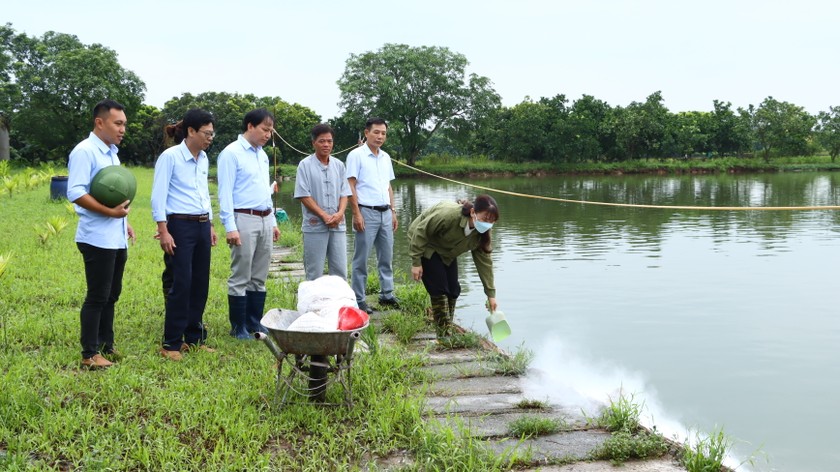 Lãnh đạo Trung tâm Khuyến nông Hà Nội kiểm tra, hướng dẫn kỹ thuật chăm sóc thủy sản tại huyện Mỹ Đức.