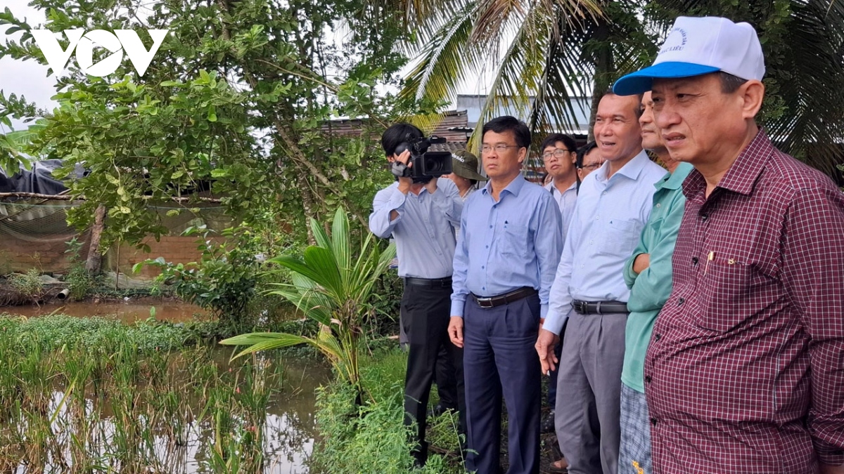 hon 12.600 ha lua he thu o bac lieu bi do nga, gan 220ha bi mat trang hinh anh 2