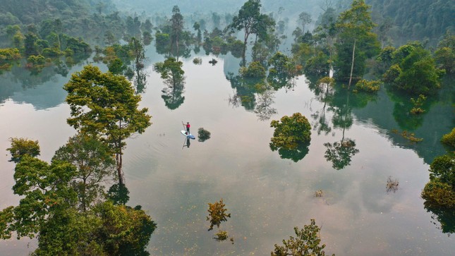 Phong Nha - Kẻ Bàng mong muốn trở thành Khu dự trữ sinh quyển thế giới ảnh 2