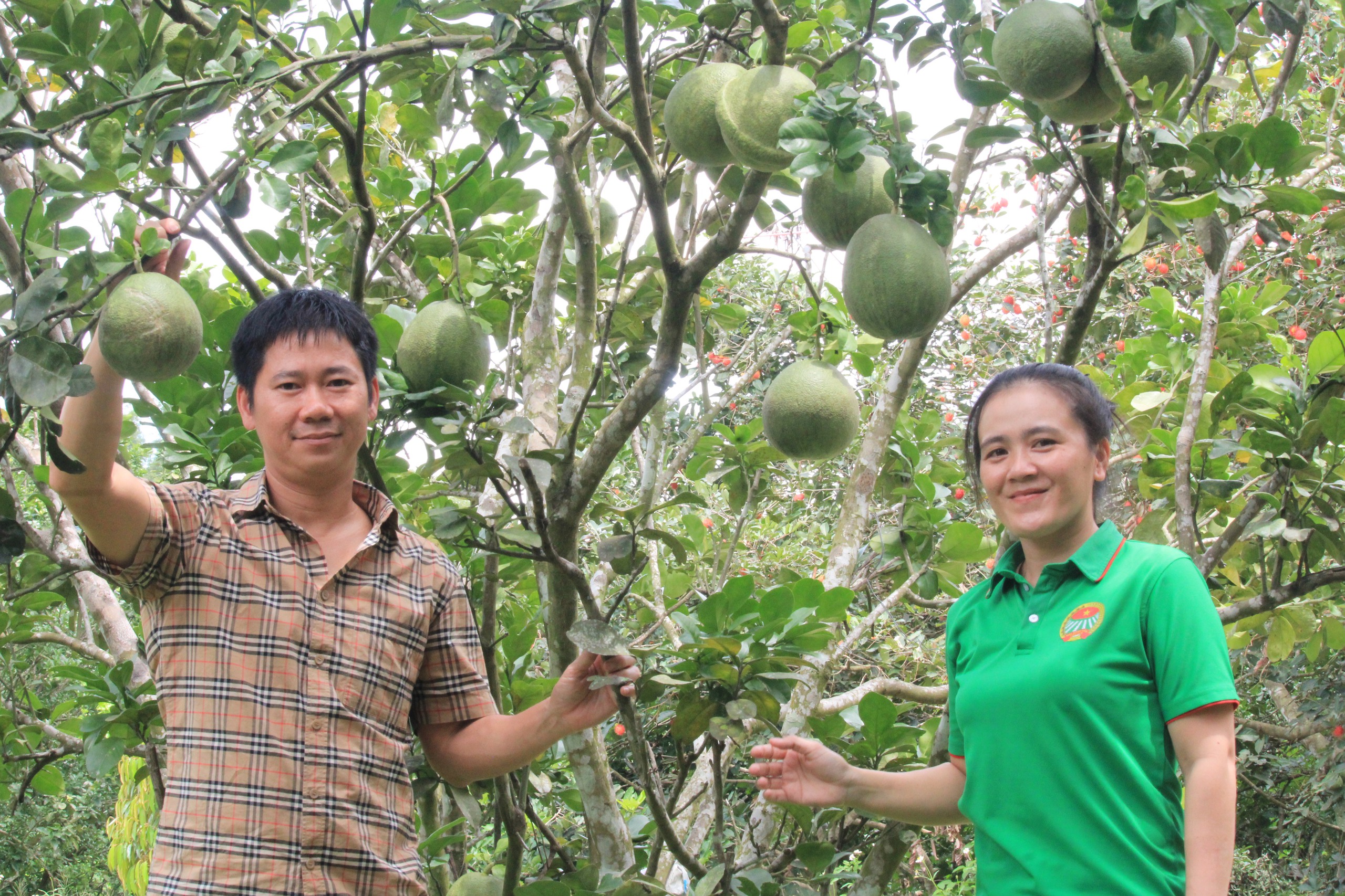 Một nông dân ở Khánh Vĩnh làm nông nghiệp kết hợp du lịch, khách nhìn là thích ăn tại vườn - Ảnh 4.